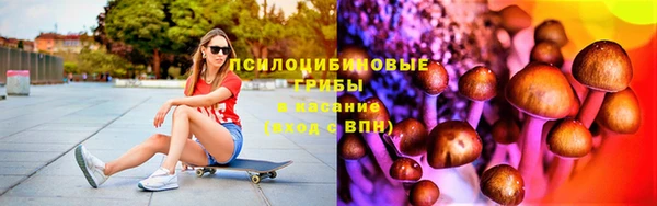 стаф Няндома