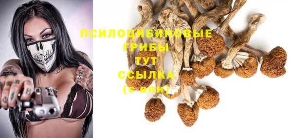 МДПВ Нязепетровск